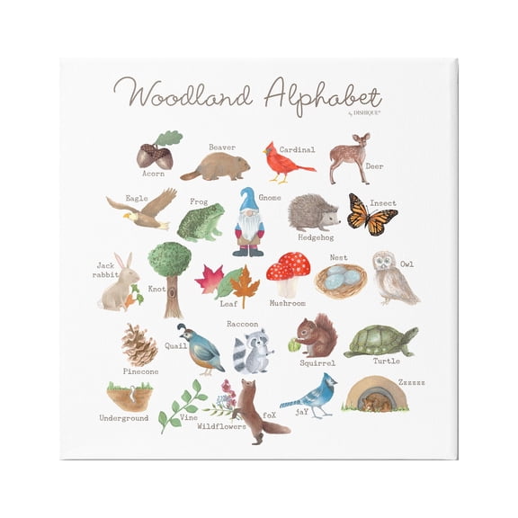 Stupell Industries Woodland Alphabet Wildlife Botanicals Learning Forest Creatures Graphic Art Gallery Wrapped Canvas Print Wall Art, Design by Dishique