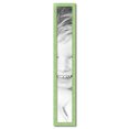 thumbnail image 2 of ArtToFrames 7" x 50" Pale Green Picture Frame, 7x50 inch Green Wood Poster Frame (WOM-4605),  Pack, 2 of 7