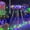Multicolor, variant on RKZDSR Outdoor Solar Fishnet Lights: Waterproof Colored Decorative Light Strings for Yard Holiday Decorations.