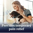 PetArmor Aspirin for Small Dogs, Fast Acting AntiInflammatory and Pain