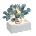 thumbnail image 1 of 1pc Home Scene Layout Prop Artificial Coral Simulated Resin Coral Adornment, 1 of 7