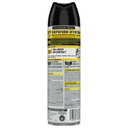 Raid MAX Indoor & Outdoor Spider & Scorpion Killer Bug Spray, 12 oz