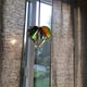 thumbnail image 5 of Ventana De Cristal De Corazón De Arcoíris De Múltiples Caras De Cristal De Corazón Transparente, Adorno Colgante Para Interiores Y Exteriores, Regalos De Decoración Methold HA044467-01, 5 of 6
