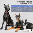 thumbnail image 4 of MASBRILL Dog Collar for Medium Dogs, Durable Comfortable Nylon Dog Collars, Adjustable Dog Collars with Buckle, 4 of 8