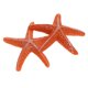 thumbnail image 3 of 2 Piezas De Plantas De Acuario De Acuario Artificial Plantas De Acuático Ornamento De Fondo Tipo 5 - Naranja Zulema Decoración del tanque de peces de acuario, 3 of 7