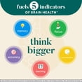 thumbnail image 2 of Suplemento Schiff Neuriva Brain Performance 30 cápsulas, 2 of 5