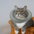 thumbnail image 4 of Pet Neck Circle Prevent Licking Green 1Pcs, 4 of 8