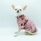 thumbnail image 2 of Sudadera para Perro Mascotti Rosas XS, 2 of 3