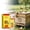 Yellow, variant on 8 fl oz Bee Attractant for Beekeeping Management, Efficient Apiary Tool to Attract Bees and Assist Hive Productivity, Professional Use