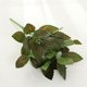 thumbnail image 5 of Plantas artificiales, follaje, hojas, ramas, arbustos verdes, decoración y manualidades norte, 5 of 9