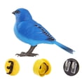 thumbnail image 3 of Kokiya Electric Singing and Chirping Bird Toy Electronic Bird Toy for Children Gift, 3 of 9