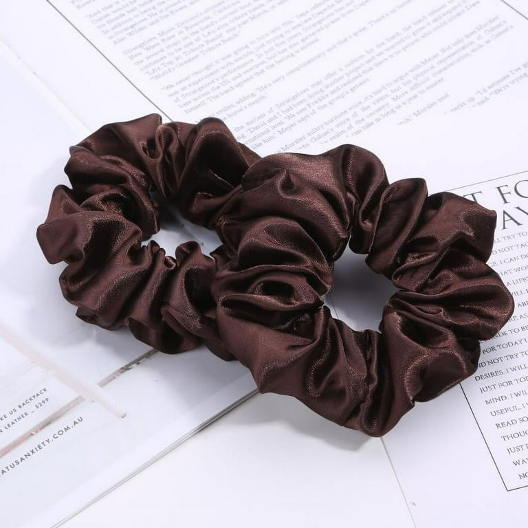 Dicasser 6 Pieces Silk Hair Scrunchies for Hair Soft Silk Hair Ties Ponytail Holder No Hurt Your Hair Elastic Hair Bands Hair Ties for Hair