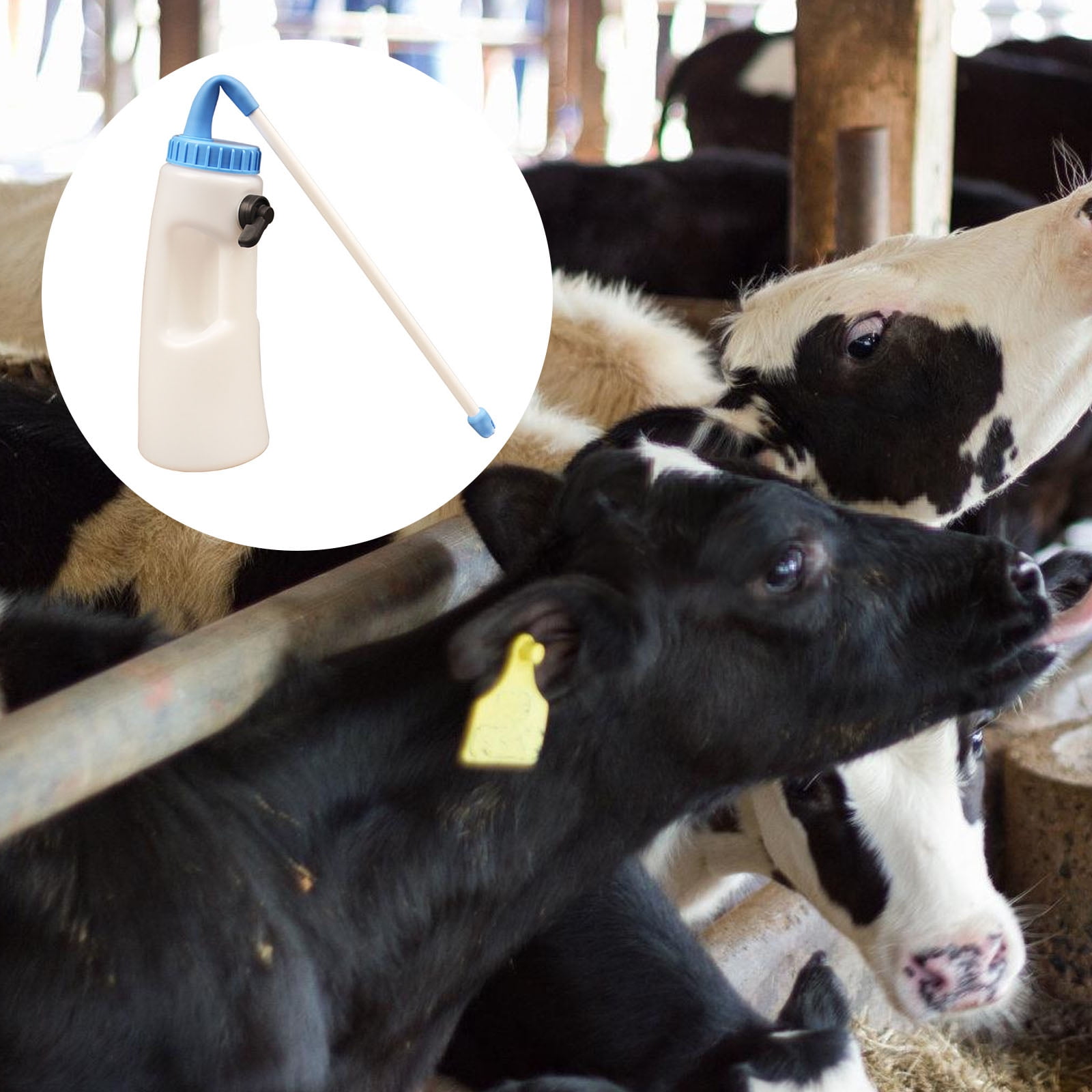 Thickened Handle Calfs Milk Dispenser Reusable Plastic Farm Feeders Farm Calfs Care Essential