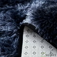 thumbnail image 3 of SUSUZI 5 x 7 ft Shaggy Area Rugs for Bedroom Living Room Modern Large Fluffy Floor Rugs Soft Carpet Home Décor, Dark Gray, 3 of 9