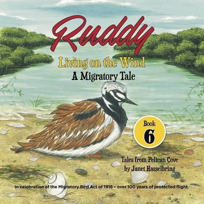 Pre-Owned Ruddy: Living on the Wind: A Migratory Tale (Paperback) 1513619349 9781513619347