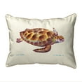 thumbnail image 1 of Betsy Drake ZP044 20 x 24 Po Tortue de Mer Vert Extra Grand Oreiller à Fermeture Éclair, 1 of 1