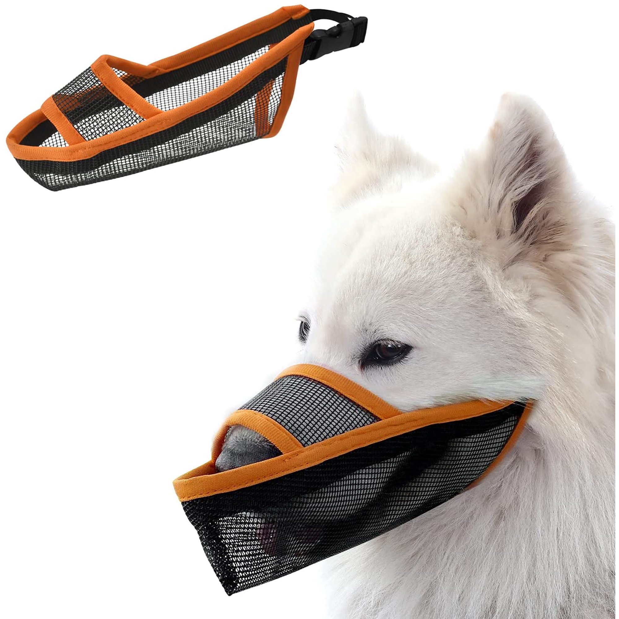 How Long Can A Muzzle Be Left On A Dog