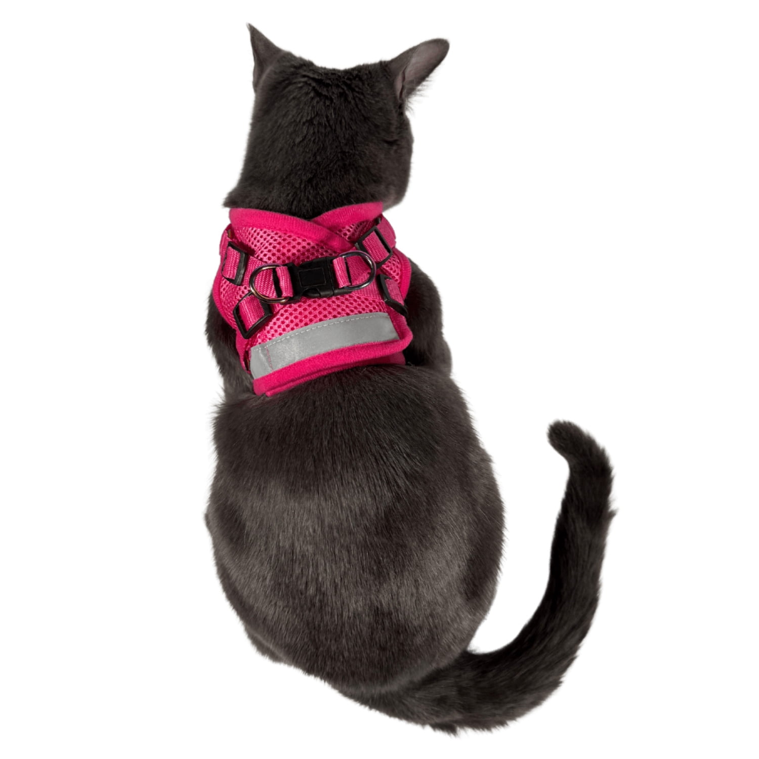 "The Purrfectly Pink" Iridescent Limited-Edition Harness  Leash Set