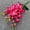 Hot Pink, variant on Artificial Flower Artificial Flower Gladiolus Silk Simulation 5-Prong Spring Hue forHome Wedding Party Decoration, Realistic Fake Bouquet Never Fade Vase Desk Arrangement Gladiolus