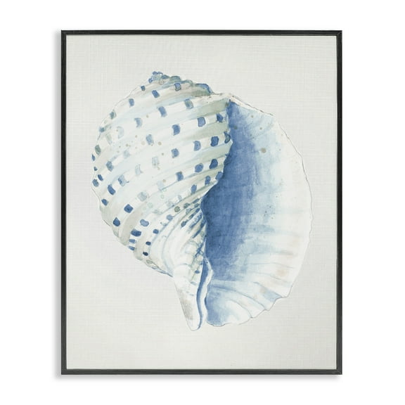 Stupell Industries Spotted Conch Shell Animals & Insects Painting Black Framed Art Print Wall Art, 11 x 14