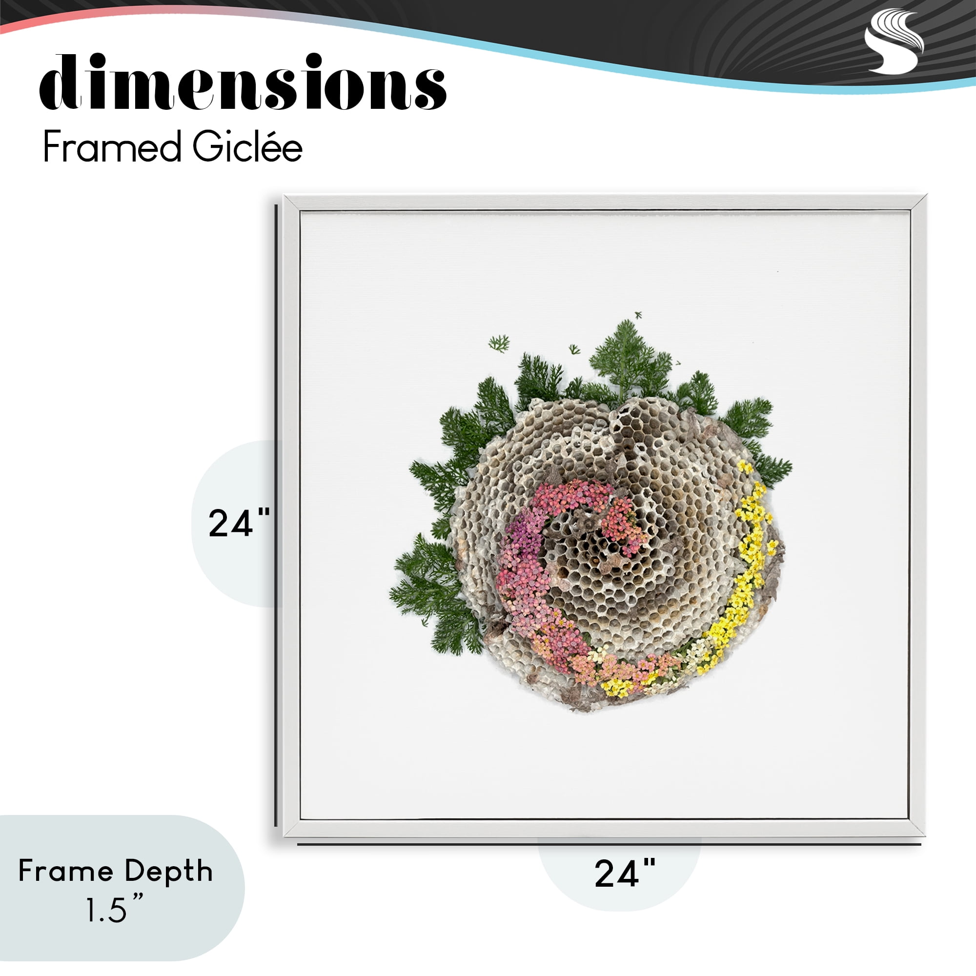 Stupell Industries Honeycomb with Botanicals White Framed Giclee Art, design by Beth Adoette