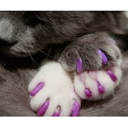 Kitty Caps Nail Caps for Cats Stylish Large 13 lbs+ Green Ultra Violet