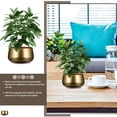 thumbnail image 3 of CHICHUMID 1 Set Golden Metal Planter Bowl with Short and Wide Mouth for Garden 6.7x6.7x4.3in, 3 of 8