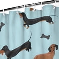 thumbnail image 3 of Dachshund Footprint Bone Shower Curtain 36"x72" ,Bathroom Decorative Shower Curtains Set with 12 Hooks,Modern Waterproof Washable Shower Curtain, 3 of 6