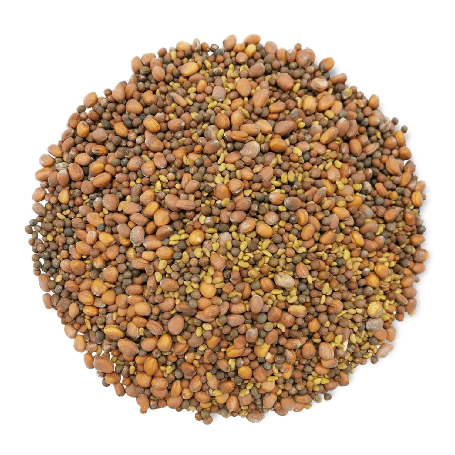 Organic Spicy Mix of Sprouting Seeds, 3 Pounds — Non-GMO, Raw, Vegan, Kosher, Sproutable — by Food to Live