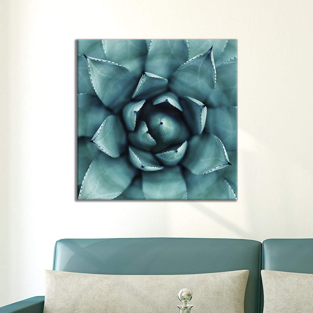 Wall26 Square Canvas Wall Art - Close up of Succulent Plant - Giclee ...