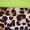 Fluorescent Green, variant on Tassel Leotard for Girls Dancing Outfits Leopard Print Latin Dance Dress Samba Cha Cha Competition Fringe Skirt Fluorescent Green 6