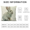 thumbnail image 6 of COMIO  Easter Decor Easter Bunny Pillow Covers Spring Decor Easter Rabbit Pillow Chusion Covers&nbsp;2pc, 6 of 6