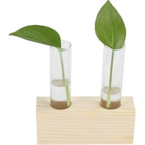 Plant Propagation Stations Double Test Tube Plants Terrariums in Wooden Stand Propagation Station for Hydroponic Plants Office Home Decoration