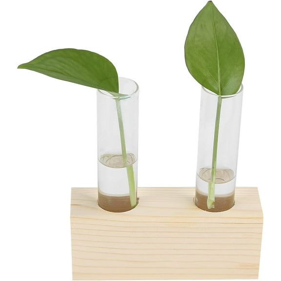 Plant Propagation Stations Double Test Tube Plants Terrariums in Wooden Stand Propagation Station for Hydroponic Plants Office Home Decoration