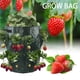 thumbnail image 5 of Inteprter Bolsa para cultivo de plantas de patata, maceta para plantar hierba de flores, maceta de múltiples bolsillos con asa, contenedor de Jardín y Patio, 5 of 6