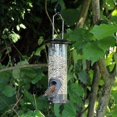 thumbnail image 4 of Bird Feeding Station, Panoramic Bird Feeder, Automatic Feeder Screw Top, Acrylic, 4 of 5