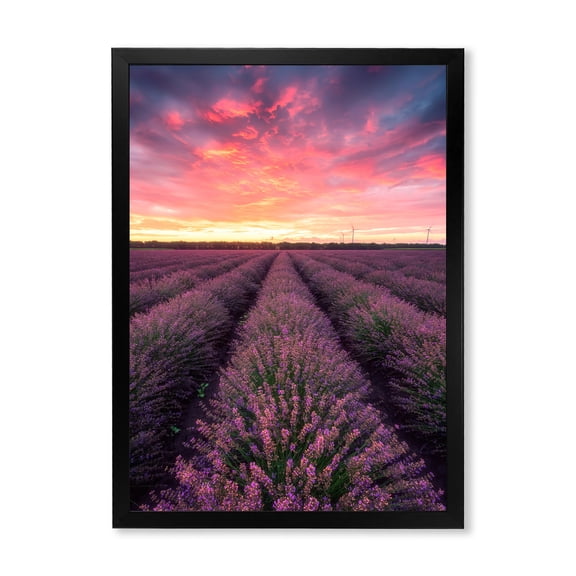 Designart 'Dramatic Clouds and Sunrise Over Lavender Field XIV' Farmhouse Framed Art Print