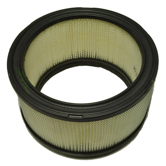 Rainbow Vacuum Cleaner Motor Filter