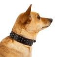 thumbnail image 3 of Vibrant Life Studded Leather Fashion Dog Collar, Black, Large, 3 of 7