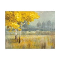 Trademark Fine Art 'Yellow Landscape' Canvas Art by Danhui Nai