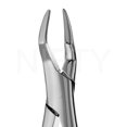 thumbnail image 1 of Extrait de Racines de Forcep Motif Américain 65, 1 of 2