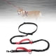 thumbnail image 1 of Correa de perro portátil correa de mascota de cinturo absorbente de golpes reflectante para senderismo cadena de perro rojo Colco correa de cintura para mascotas, 1 of 7