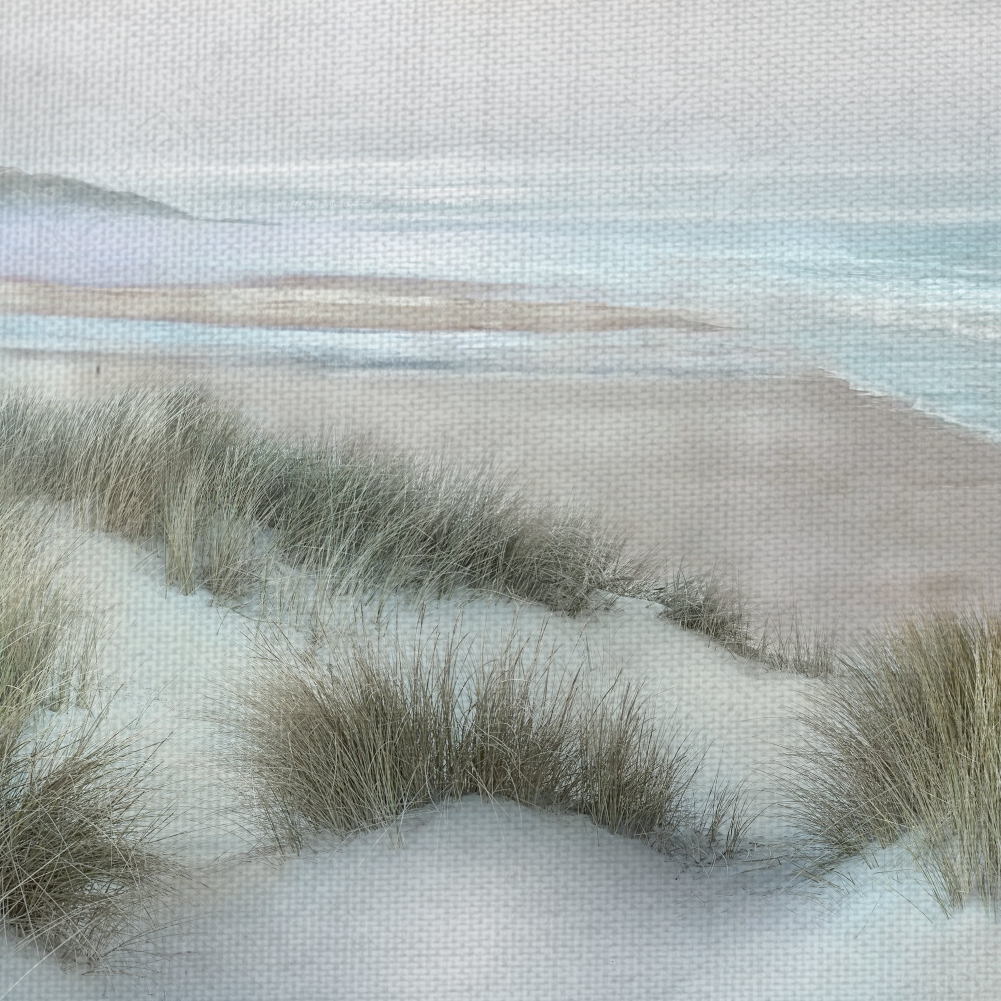 Fine Art Canvas Windswept III Coast by Mike Calascibetta Canvas Art Print