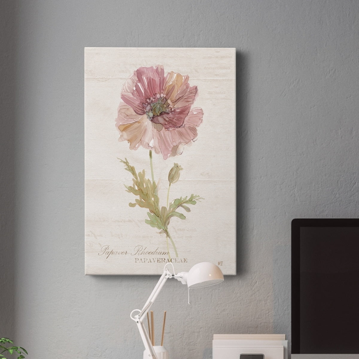 Soft Poppy Premium Gallery Wrapped Canvas - Ready to Hang - 40 x 60