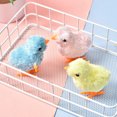 thumbnail image 1 of Spring Wind Up Chicken Divertidos regalos interactivos para mascotas Favores de fiesta para niños y niñas, 1 of 6