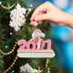 thumbnail image 4 of 2 EmbalarDIY decoraciones de muñecas de Navidad colgante cartel, árbol de Navidad fiesta producto familiar personalizado decoraciones familiares regalo para amigos familia (2021 rosa), 4 of 5