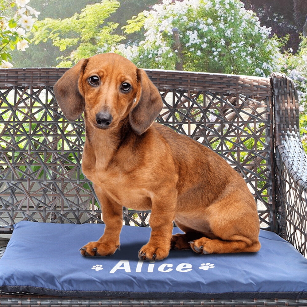 Didog Dog Bed Mat Waterproof Personalised Pet Cat Puppy Mattress Cushion Pad for Crate
