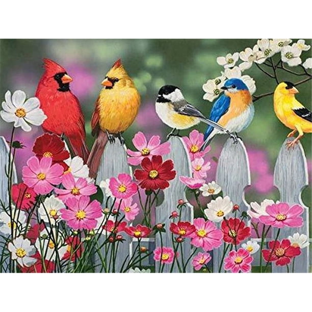 YM1 (Bird-B1035) pájaro diamante resina pintura decorativa DIY 40*30CM