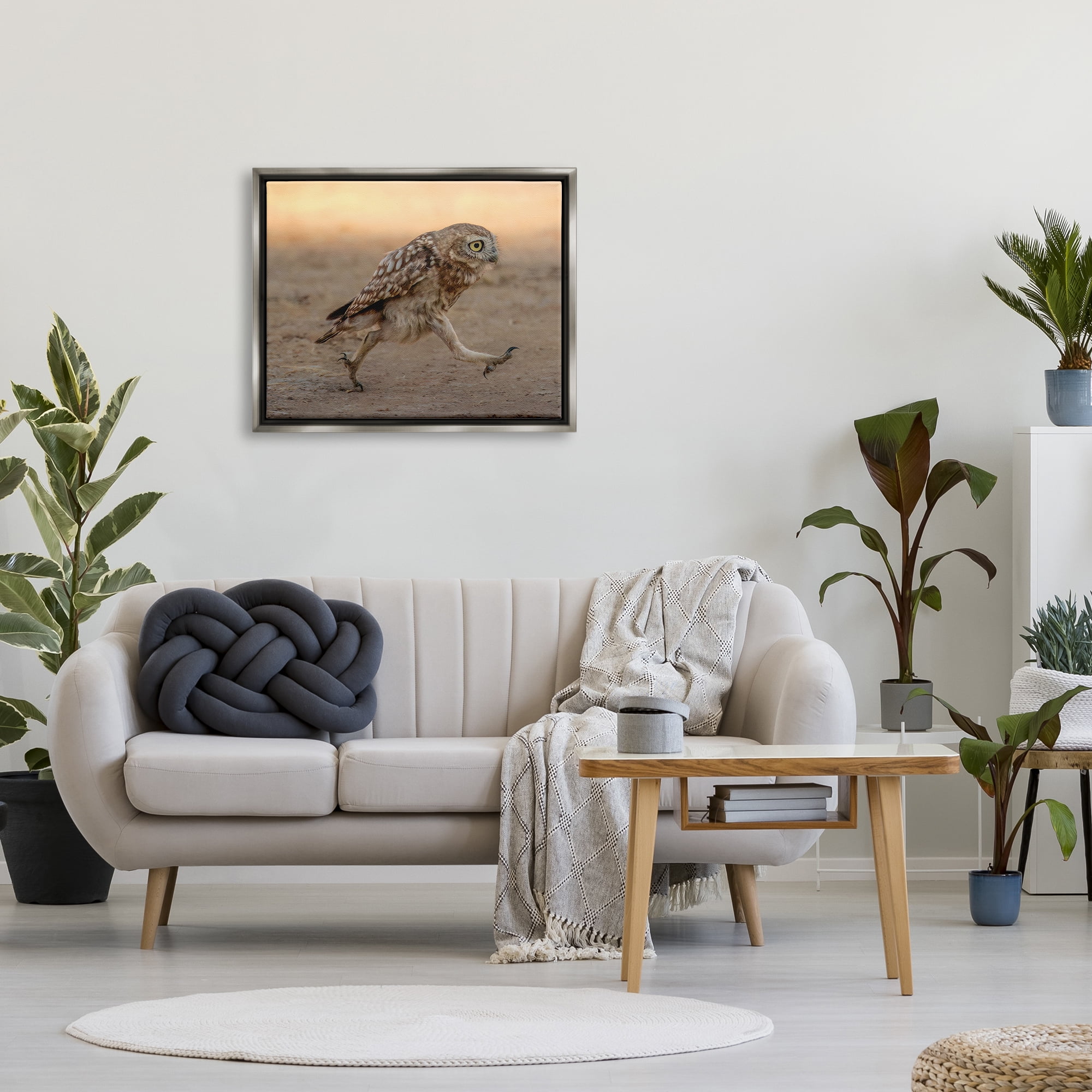 Stupell Industries Rushing Little Owl Animals & Insects Photography Gray Floater Framed Canvas Art Print Wall Art, 31 x 25