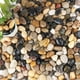 thumbnail image 1 of Bolsa a granel de guijarros para plantas Anothera Aquarium 8,16 kg PIEDRAS NATURALES, 1 of 6